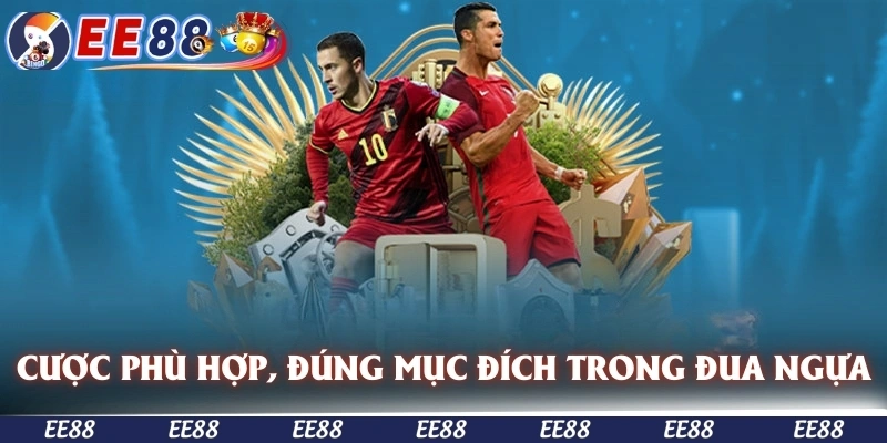 Chú ý cược phù hợp, đúng mục đích trong đua ngựa