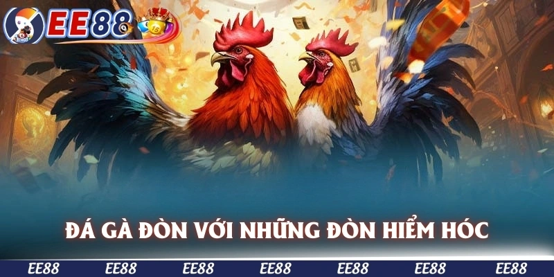 Đá gà đòn với những đòn hiểm hóc gạ đối thủ