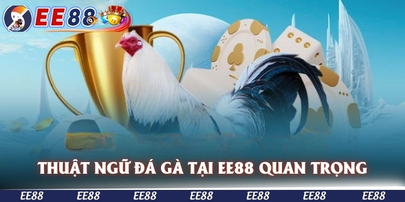 thuật ngữ đá gà