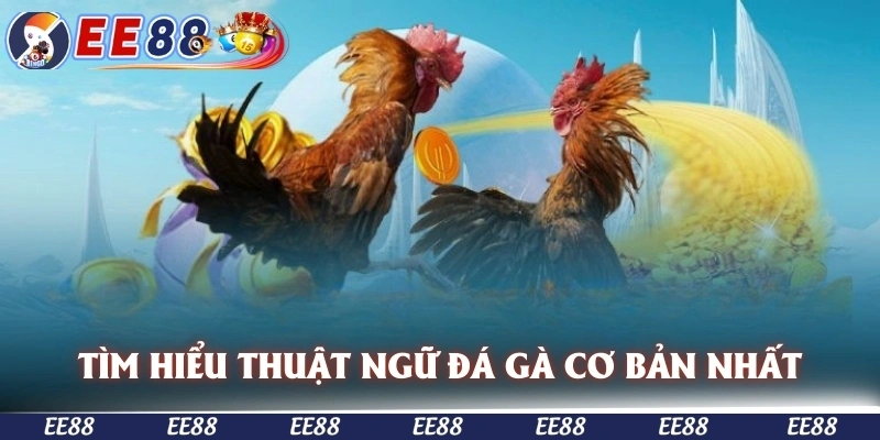 Tìm hiểu thuật ngữ đá gà EE88 cơ bản nhất